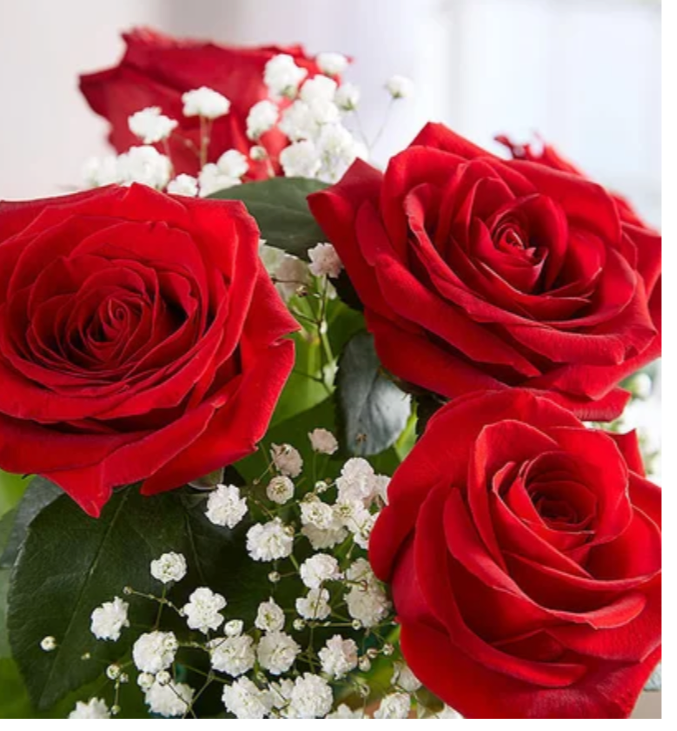 Valentines Day Flowers