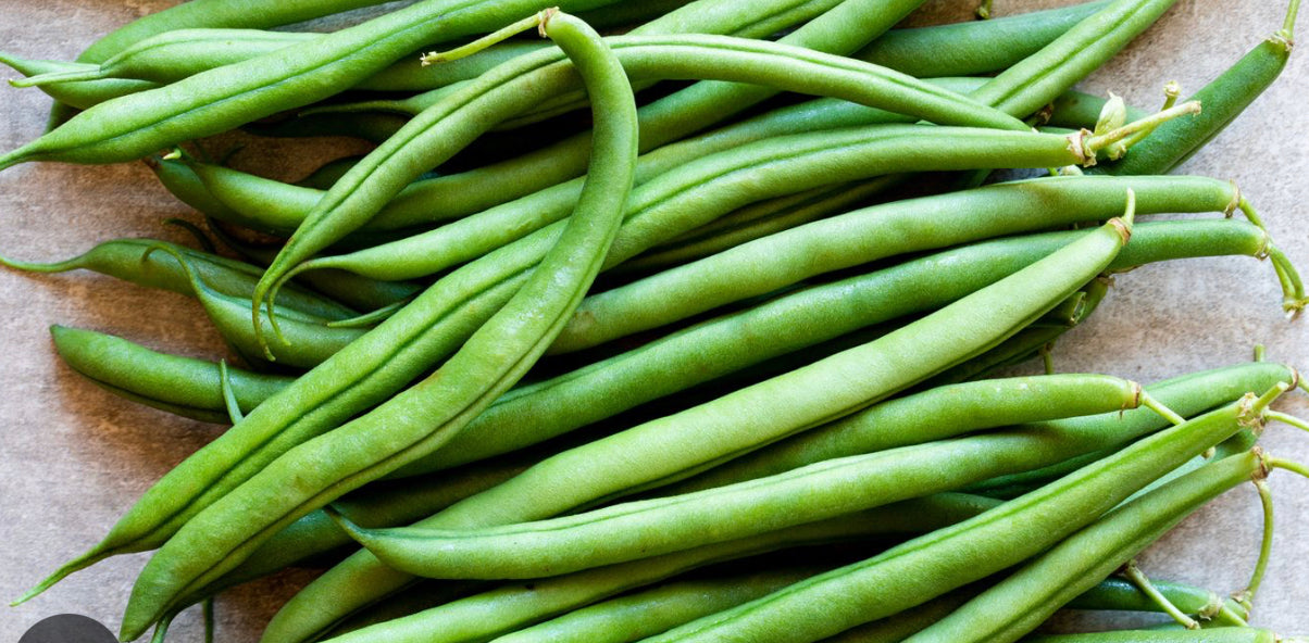 Aberdeen Farm Grown Green Beans~Organic