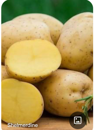 ABF Organic Yukon Gold Potatoes - by the pound