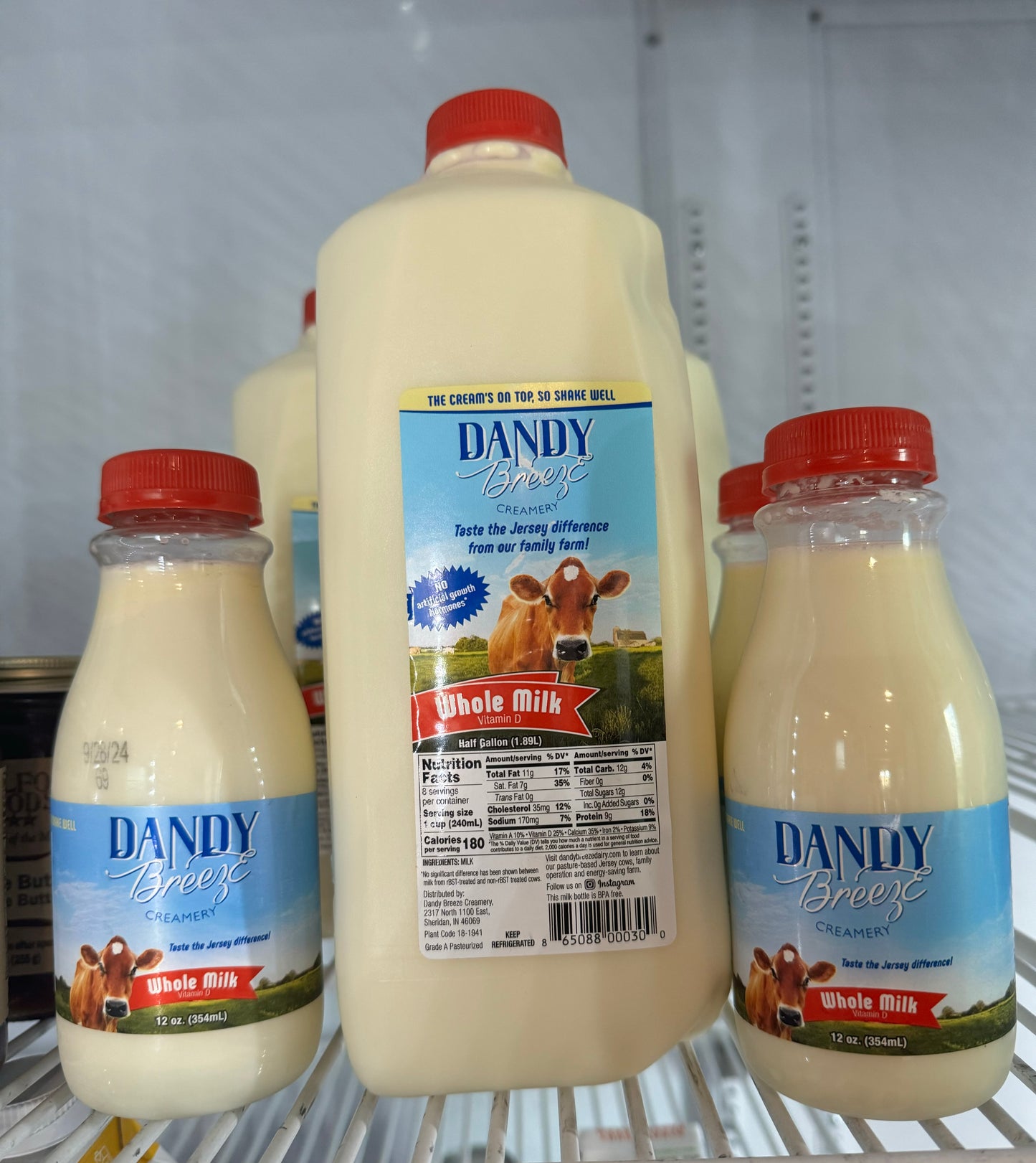 Dandy Breeze Whole Milk 1/2 Gallon