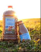 PRE-ORDER: Family Tyme Creamery Chocolate Milk 16 0z