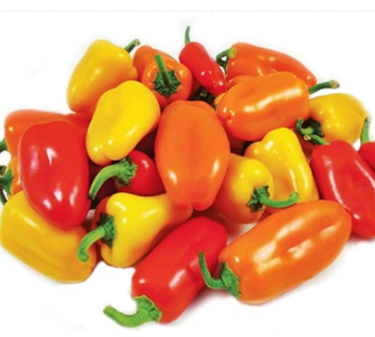Mini peppers-Organic Cup
