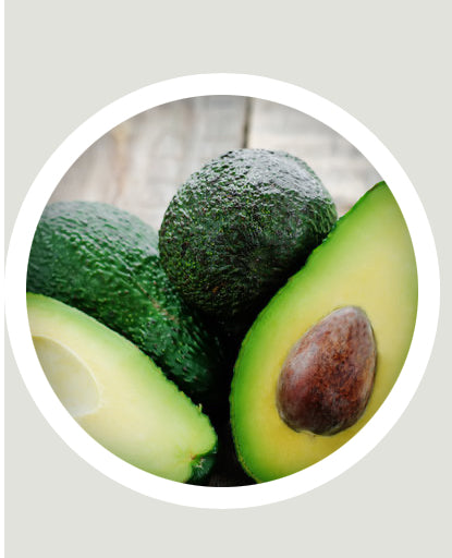 Avocados-Organic