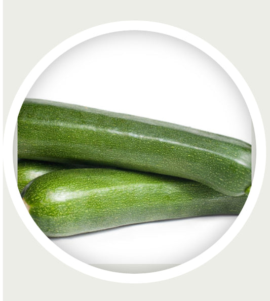 Aberdeen Farm Grown Zucchini~Organic