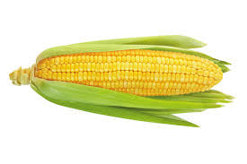 Mike’s Corn (1 Ear)