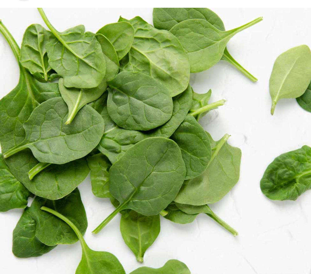 Baby Spinach~Organic