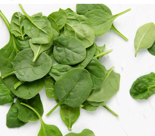 Baby Spinach~Organic