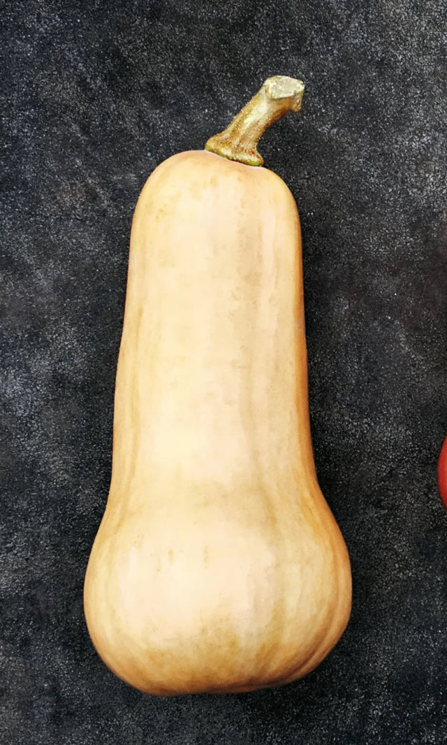 Butternut Squash-Organic Small
