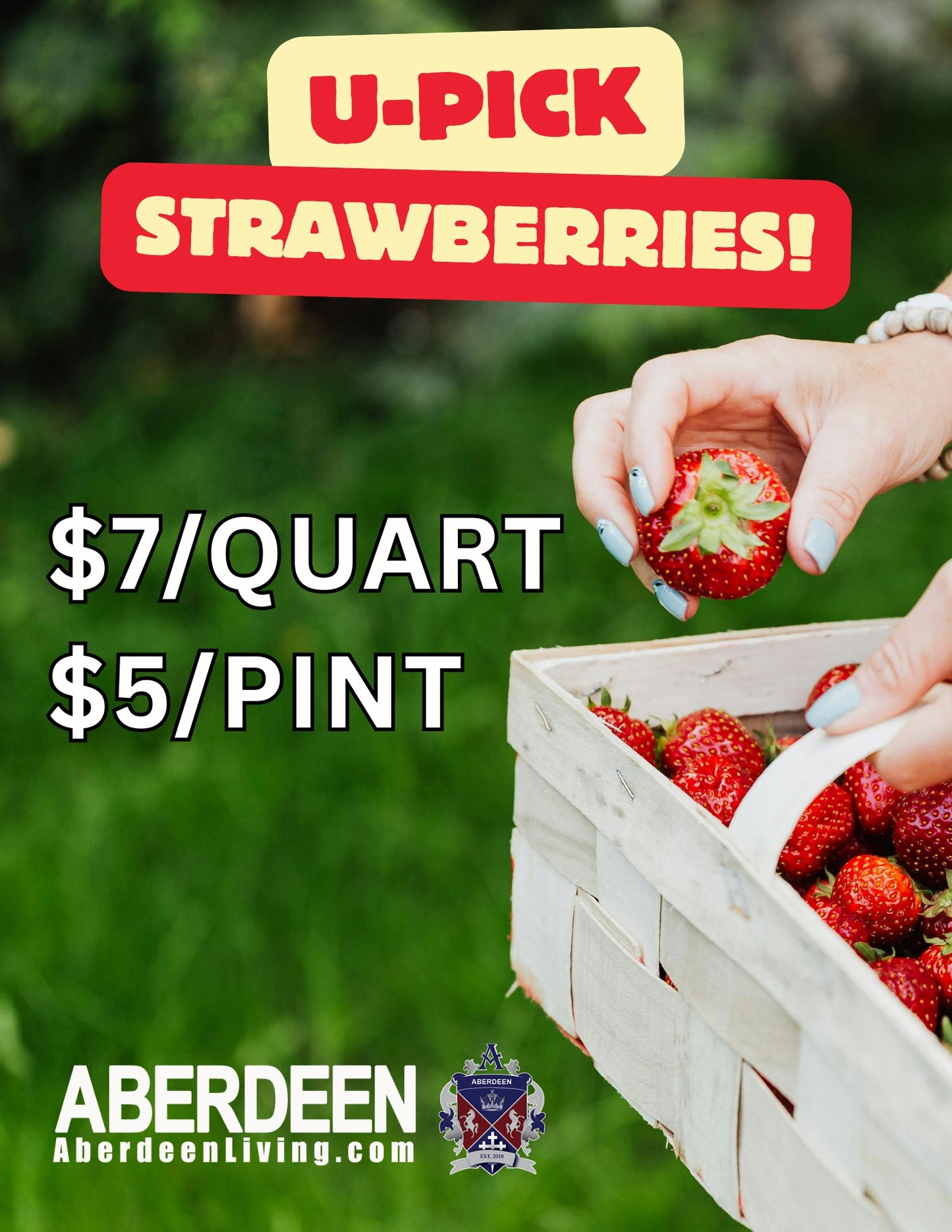 Aberdeen Farms-Organic U-Pick Strawberries Quart